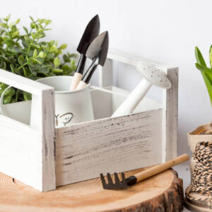 Istockphoto 1471370965 612x612