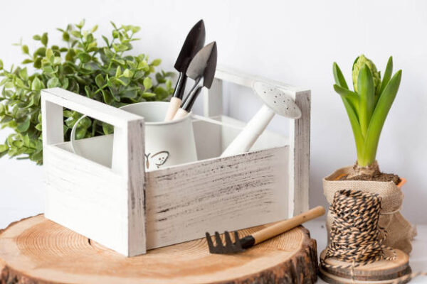 Istockphoto 1471370965 612x612