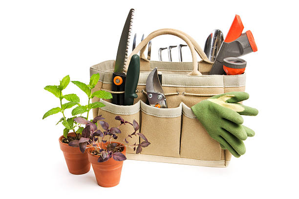 Istockphoto 157440221 612x612