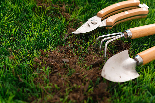 Garden hand trowel and fork standing in soil in a garden