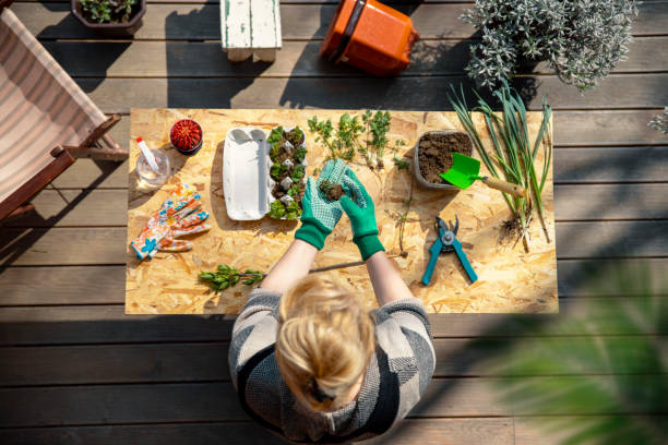 Woman replanting her plants in patio. above view