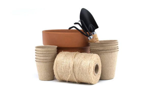Istockphoto 2173032042 612x612