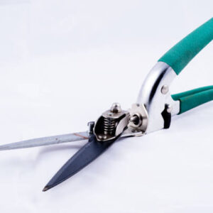 Old gardening tools on white isolated background