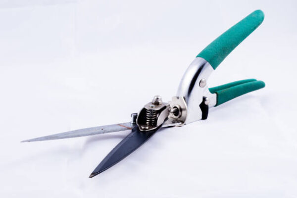 Old gardening tools on white isolated background