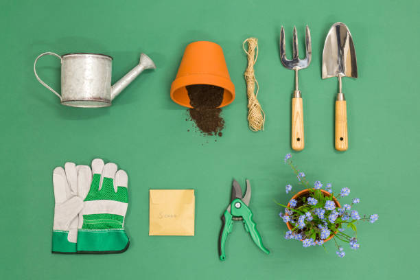 A flat lay arrangement of gardening equipment on a green background